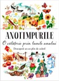 Anotimpurile. O calatorie prin lunile anului, Flamingo Junior