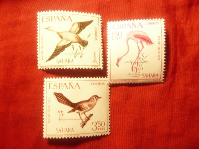 Serie Sahara Spaniola 1967 - Pasari , 3 valori foto