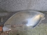 Sticlă far dreapta Toyota Yaris, YARIS (SCP9_, NSP9_, KSP9_, NCP9_, ZSP9_)	 - [2005 - 2010]
