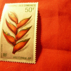 Timbru Comore colonie franceza 1969 - Flora , val. 50fr. , sarniera