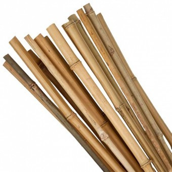 Set 10 araci din bambus Strend Pro KBT 1500/14-16 mm foto