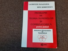 L. Panaitopol - Probleme de teoria numerelor si combinatorica pentru juniori