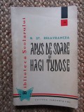 Barbu Stefanescu Delavrancea - Apus de soare si Hagi Tudose