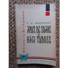 Barbu Stefanescu Delavrancea - Apus de soare si Hagi Tudose