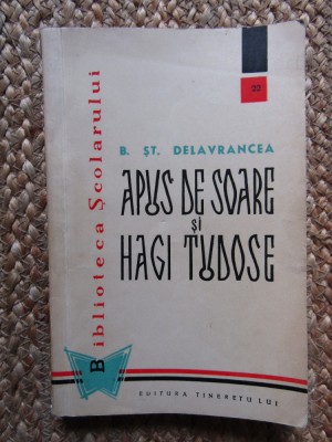 Barbu Stefanescu Delavrancea - Apus de soare si Hagi Tudose foto