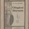 Al. Gh. Doinaru - Calugarul Gherasim