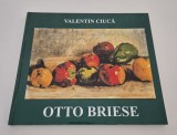 Album de arta pictura Valentin Ciuca Otto Briese