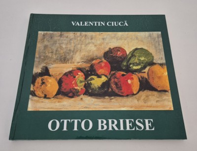 Album de arta pictura Valentin Ciuca Otto Briese foto