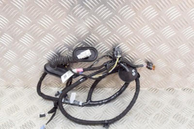 Cablaj ușă dreapta spate TESLA MODEL 3 2021 OEM: 2067966-00-B 14458333 foto