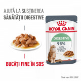 Royal Canin Digest Sensitive Care Adult hrana umeda pisica, confort digestiv (in sos), 85 g