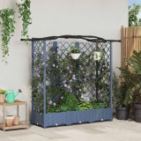 vidaXL Pat Ridicat cu Trellis și Acoperiș Gri 163 x 40 x 126 cm PP 42032558
