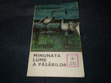 Cumpara ieftin I BORDEIANU - MINUNATA LUME A PASARILOR