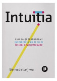 Intuiția. Cum să-ți transformi instinctele de zi cu zi &icirc;n idei revoluționare - Paperback brosat - Bernadette Jiwa - Publica