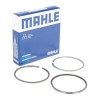 Mahle Set segmenti piston