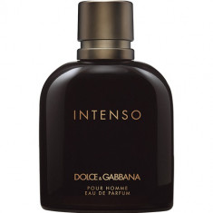 Pour Homme Intenso Apa de parfum Barbati 75 ml foto