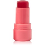 Technic Cosmetics Jelly Tint blush stick buze si obraz culoare Peach Fizz 9 g