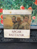 Apcar Baltazar 1880-1909, Expoziție retrospectivă, catalog de Dana Herbay, 116, Alta editura