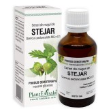 EXTRACT DIN MUGURI DE STEJAR 50ML