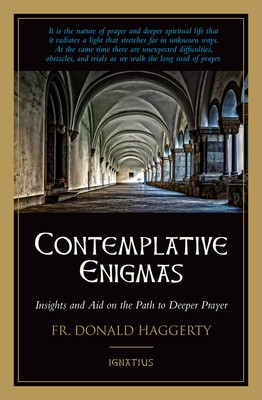 Contemplative Enigmas: Insights and Aid on the Path to Deeper Prayer foto