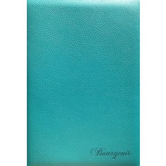 Carnet Notite A5 80 Foi 70G Dictando Mandarin 9090