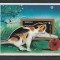 Mongolia 1991 - #588 Pisici NEDANTELATA S/S 1v MNH