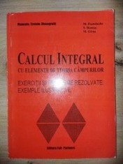 Calcul integral cu elemente de teoria campurilor- M. Postolache, S. Bostan