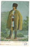 4276 - ETHNIC, Shepherd, Romania - old postcard - used - 1904, Circulata, Printata