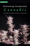 Cultivating Exceptional Cannabis: An Expert Breeder Shares His Secrets