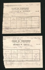 t486 CEC RPR FOAIE DE VARSAMANT DOUA BUCATI 1964 SATU-MARE
