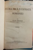 FLora ilustrata a Romaniei - Iuliu Prodan