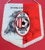Fanion (de protocol) fotbal - CS BIHORUL BEIUS (Dimensiuni f. mari 40x29 cm)
