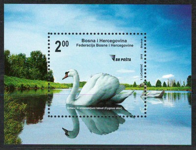 Bosnia si Hertegovina 2010 Mi 566 bl 38/ MNH - Flora si fauna 27-3 foto