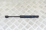 Amortizor capota st&acirc;nga față BMW 4 Coupe F32, F82 2015 OEM: 7239233 13647423