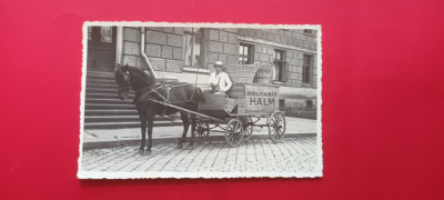 Czernowitz Cernauti Camion transport Brutaria HALM Bucovina Bukowina foto