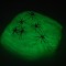 P&acirc;nză de Păianjen Decorativă, Fosforescentă, Capacitate 70g, Cu Păianjeni Negri, Glow in the Dark