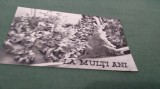 Cumpara ieftin CARTE POSTALA FELICITARE CIRCULATA
