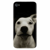 Husa silicon pentru Apple Iphone 4 / 4S, Funny Dog