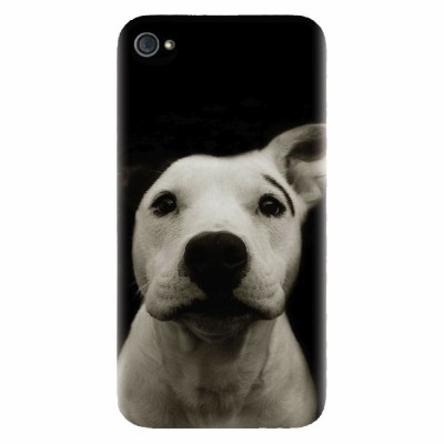 Husa silicon pentru Apple Iphone 4 / 4S, Funny Dog foto