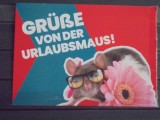 GERMANIA - CARTE POSTALA HAZLIE, SOARECE CU OCHELARI PE O FLOARE ( GRUBE VON DER URLAUBSMAUS! ) - NECIRCULATA -