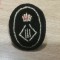QW14 - Emblema militara - straina - insemne regaliste