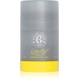 Roger &amp; Gallet Cologne Twist deodorant fără conținut săruri de aluminiu pentru piele sensibila pentru bărbați 50 g