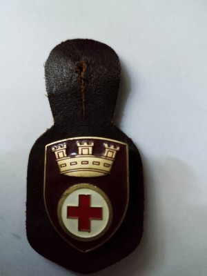 bnk ins Italia Insigna Corpul militar al Crucii Roșii foto