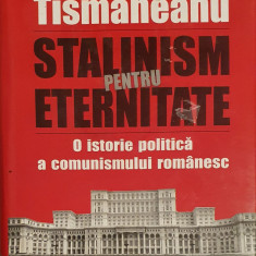 Stalinism pentru eternitate - O istorie politica a comunismului - V. Tismaneanu