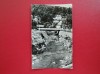 CARTE POSTALA - RPR - VEDERE DIN OLANESTI, Circulata, Fotografie