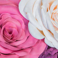 Fototapet Flori164 Trandafiri roz si alb, 200 x 255 cm