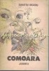 Comoara - Dumitru Vacariu, Dragos Patrascu (ilustratii) - Poem, 47 pagini, Junimea Iasi 1988 - Carte copii, Basm