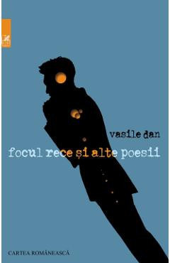 Focul rece si alte poesii - Vasile Dan foto