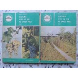 CULTURA VITEI DE VIE PE SPATII MICI VOL.1-2-SARGHI TRANDAFIR-230915