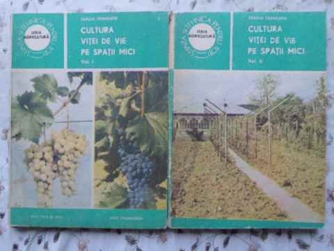 CULTURA VITEI DE VIE PE SPATII MICI VOL.1-2-SARGHI TRANDAFIR