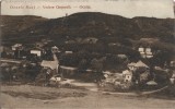 CP1105N Ocnele Mari, Vedere Generală, Ocnița, carte poștală, 1914